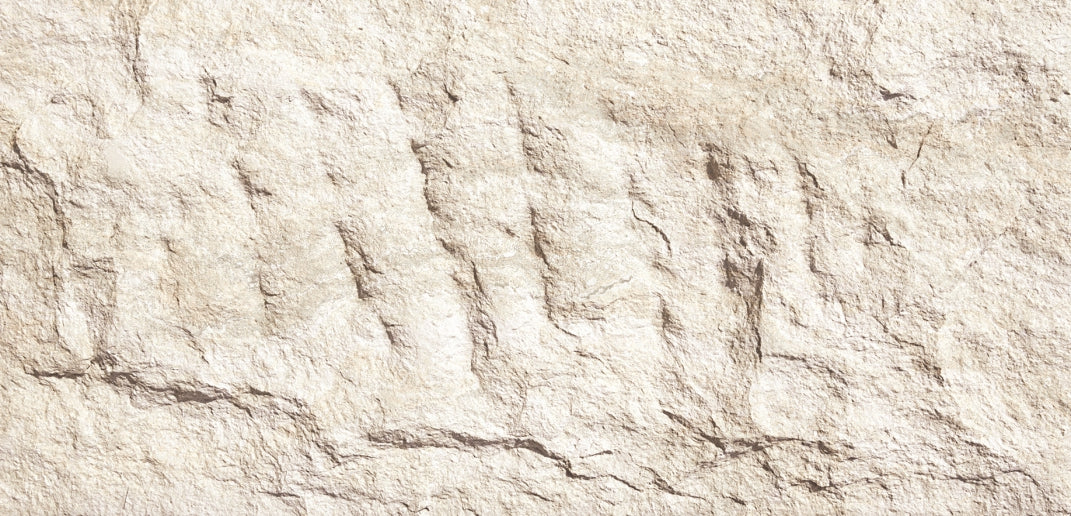 13.Devine Mushroom Stone - Andes White - DM-AW-1200x600-G3