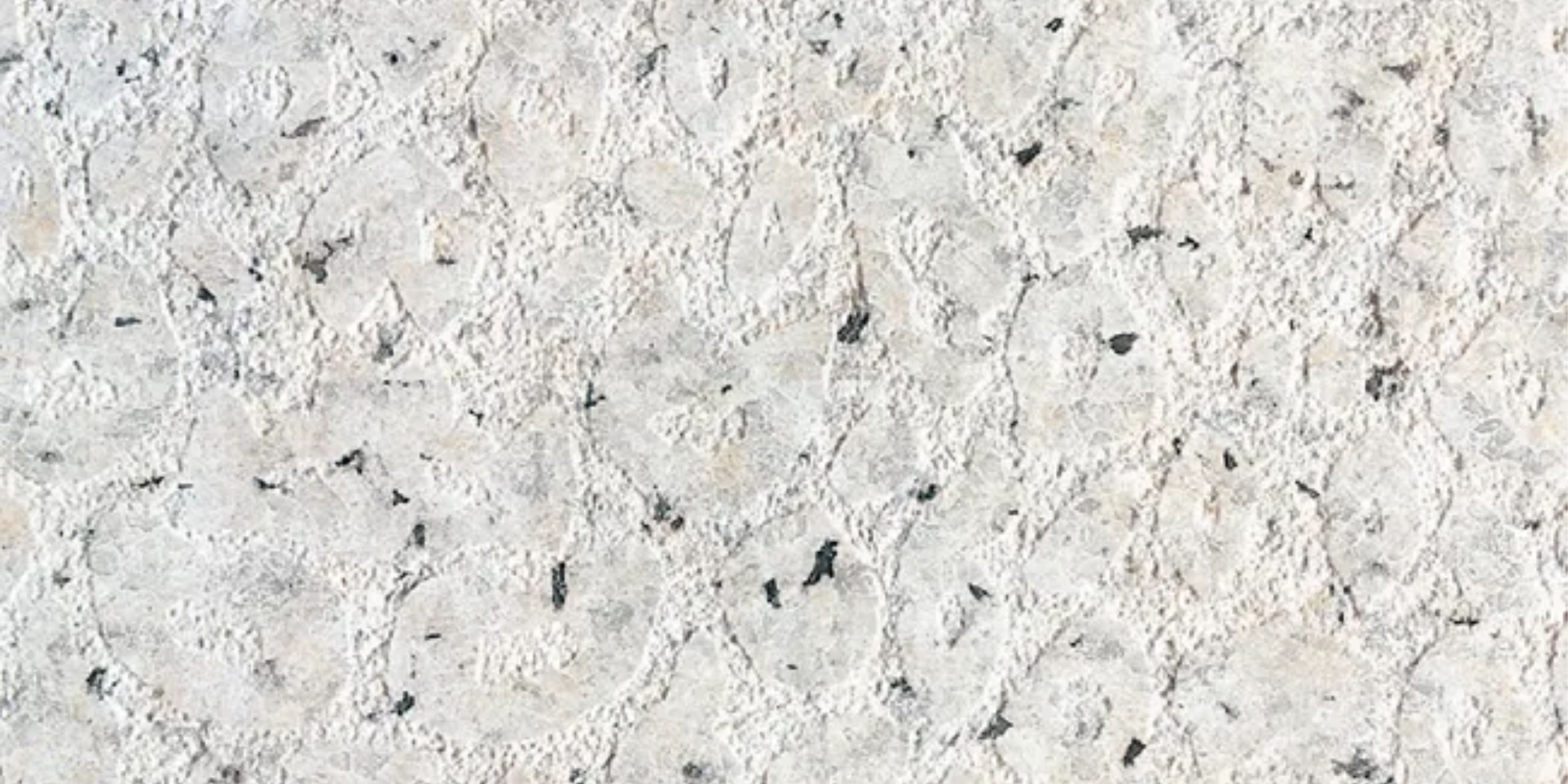 23.Butterfly Stone - New White Sesame - BS-NW-2600x1200-G3