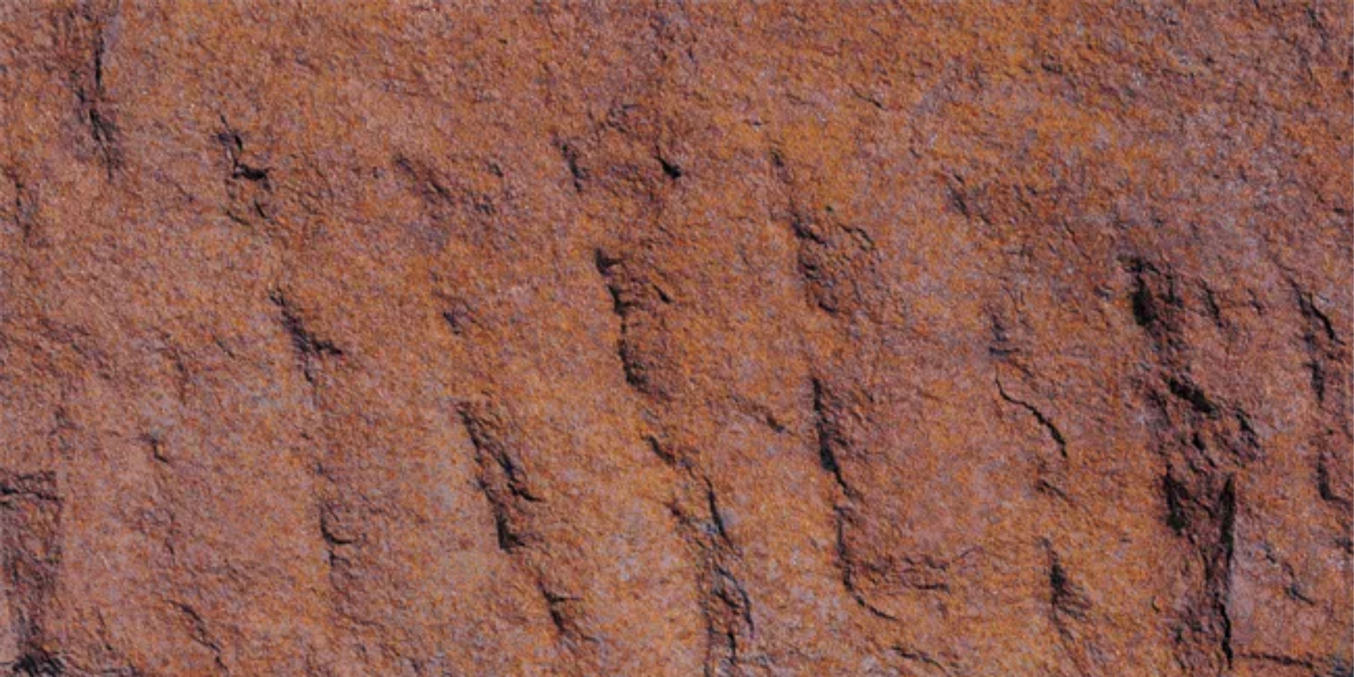 13.Devine Mushroom Stone - Nuée Ardente - DM-NA-2400x1200-G3