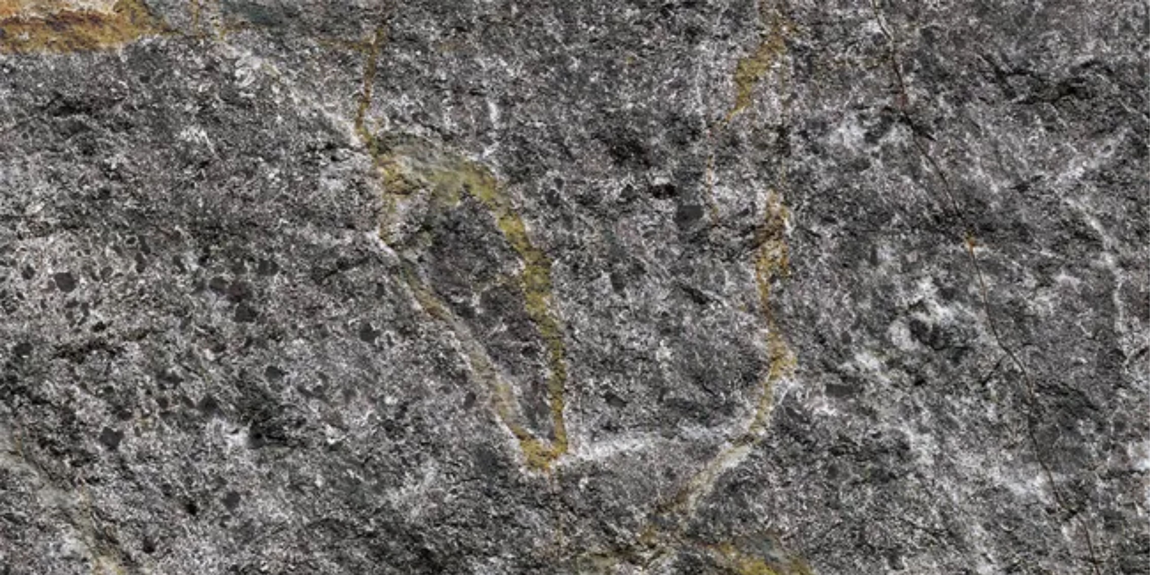 13.Devine Mushroom Stone - Sahara Noir - DM-SN-800x400-G3