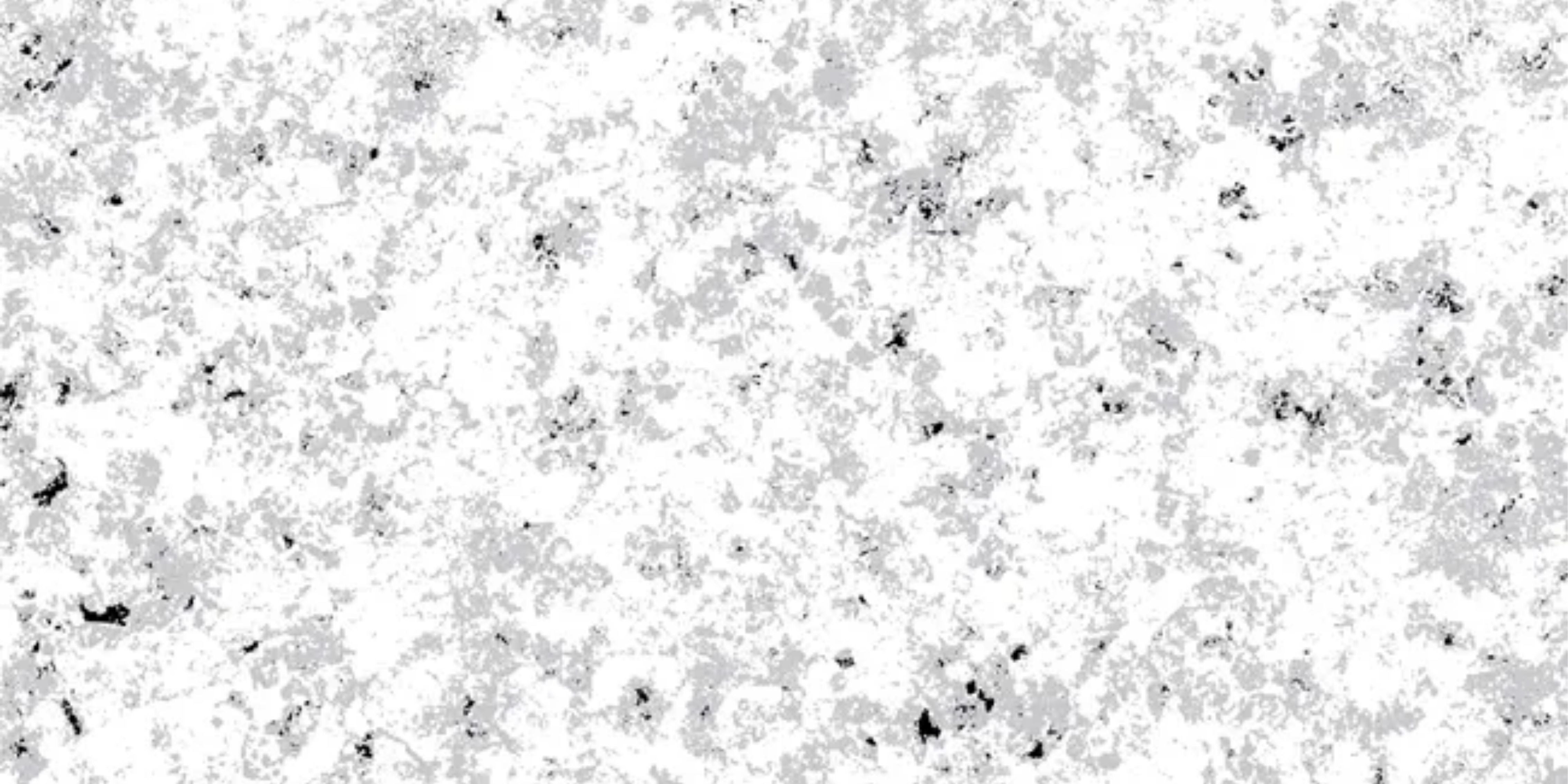 6.Polished Stone - Ash Grey - PS-AG-1200x600-G3