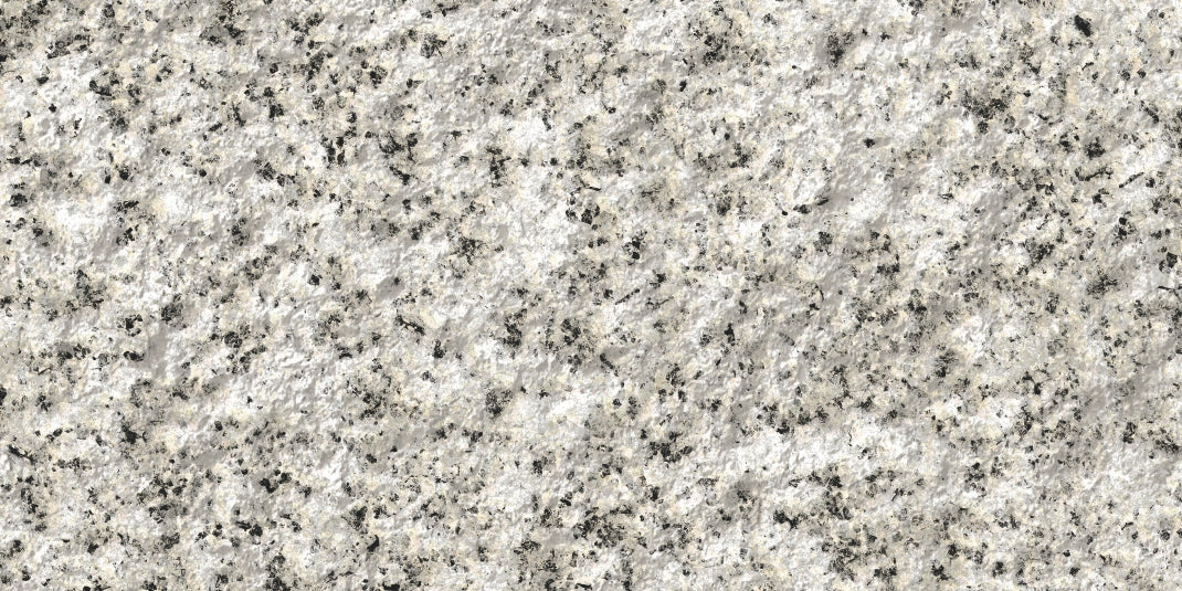 1.Rough Surface - White Sesame - RS-WS-1200x600-G3