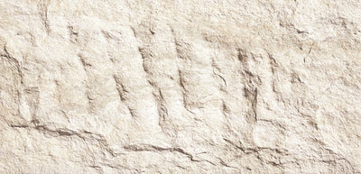 13.Devine Mushroom Stone - Andes White - DM-AW-1200x600-G3