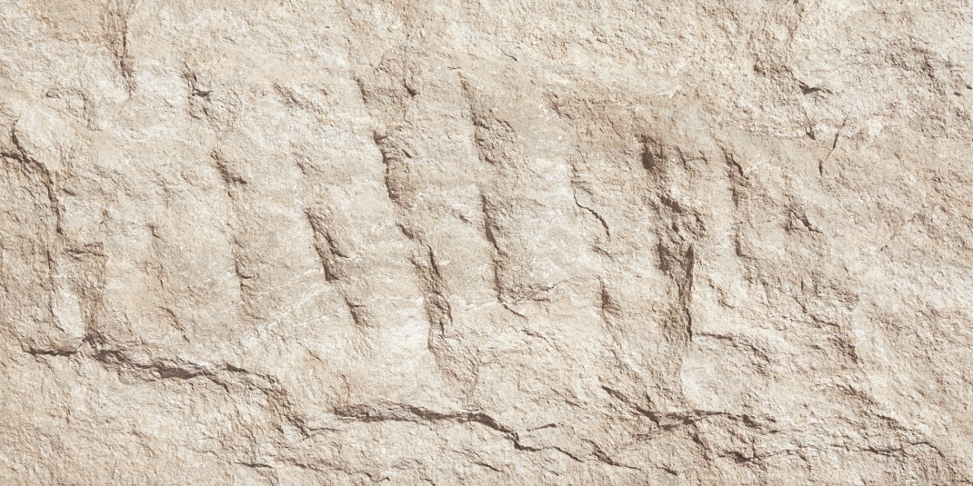 13.Devine Mushroom Stone - Andes Yellow - DM-AY-800x400-G0