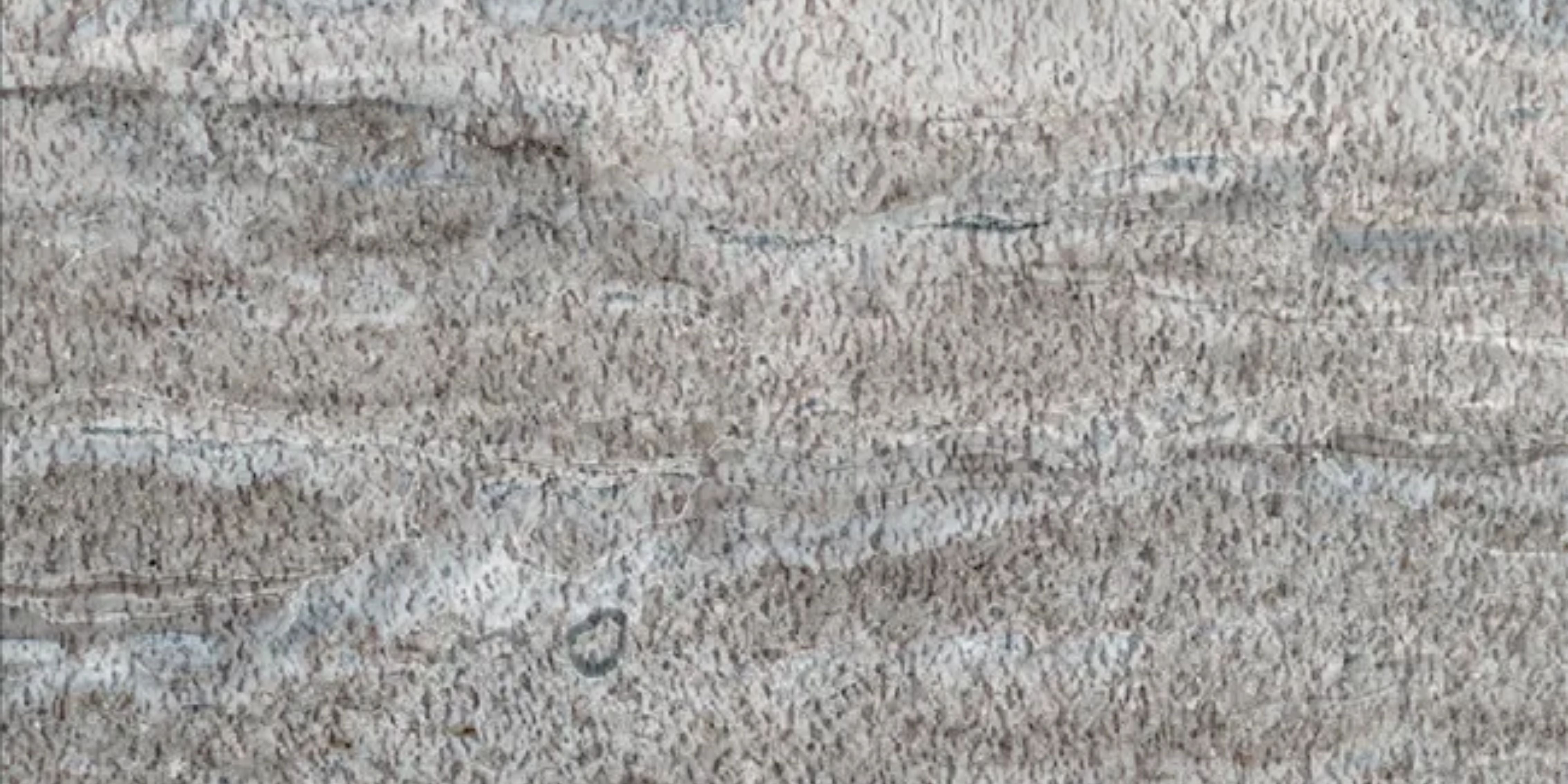 31.Anthill Travertine - Anna Medium Grey - AT-AM-1200x600-G4