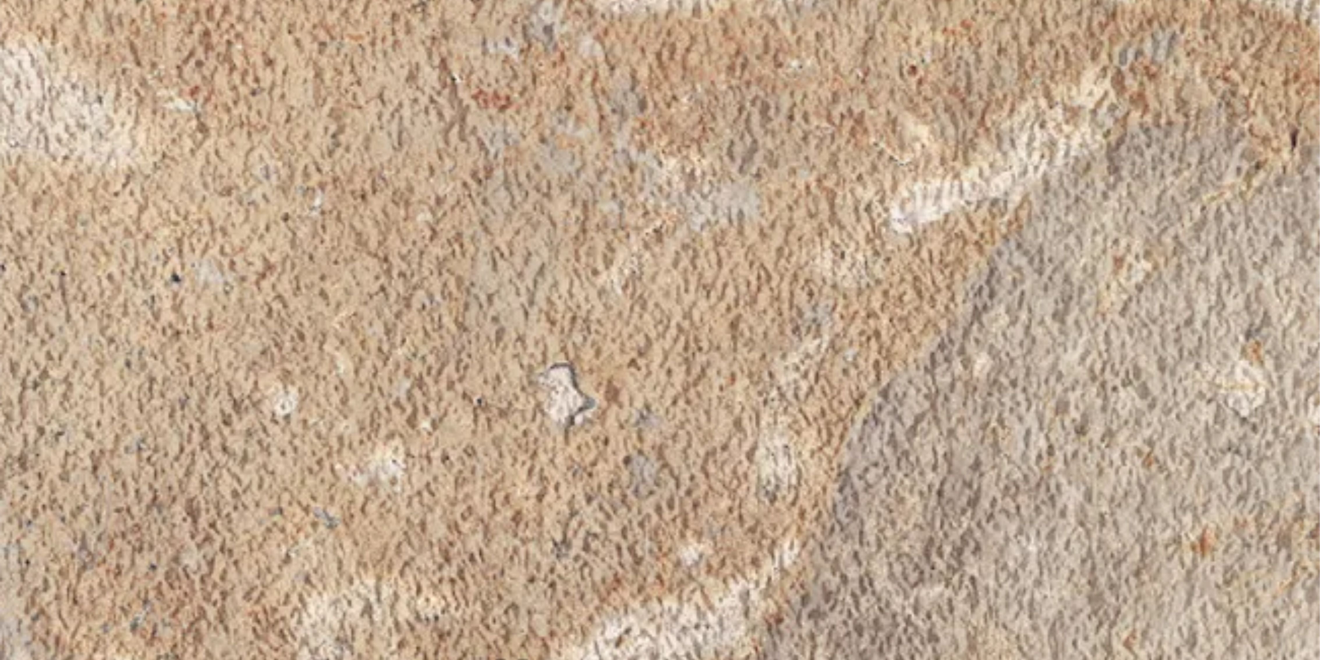 31.Anthill Travertine - Tunguska Yellow - AT-TY-1200x600-G4