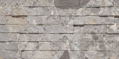 19.35 Piece Stone - Dandy Grey - P-DG-1200x600-G3