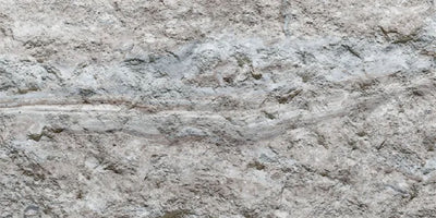 13.Devine Mushroom Stone - Anna Light Grey - DM-AL-2400x1200-G3