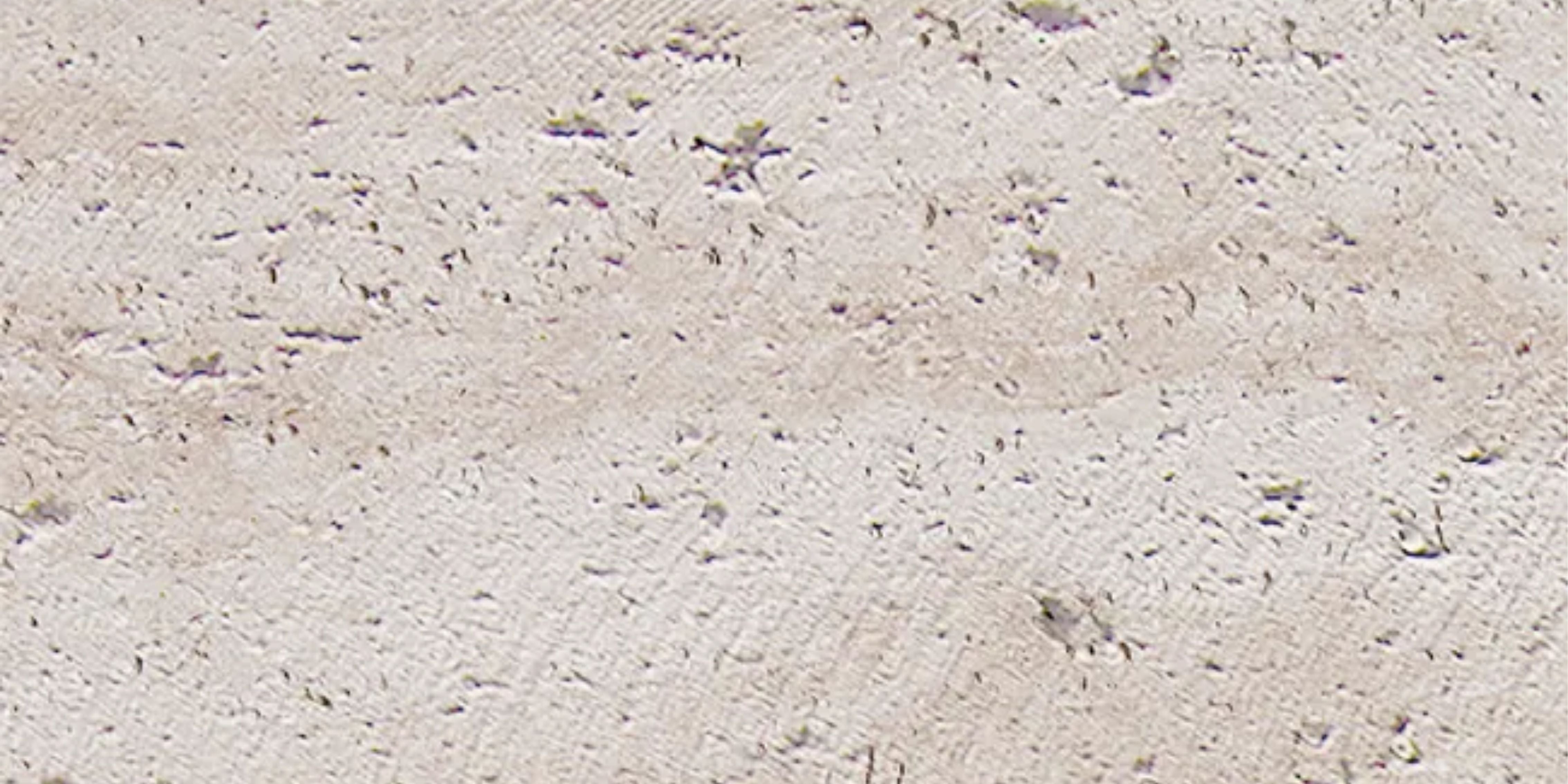 30.Ghana Travertine - Stellar White - GT-SW-1200x600-G3