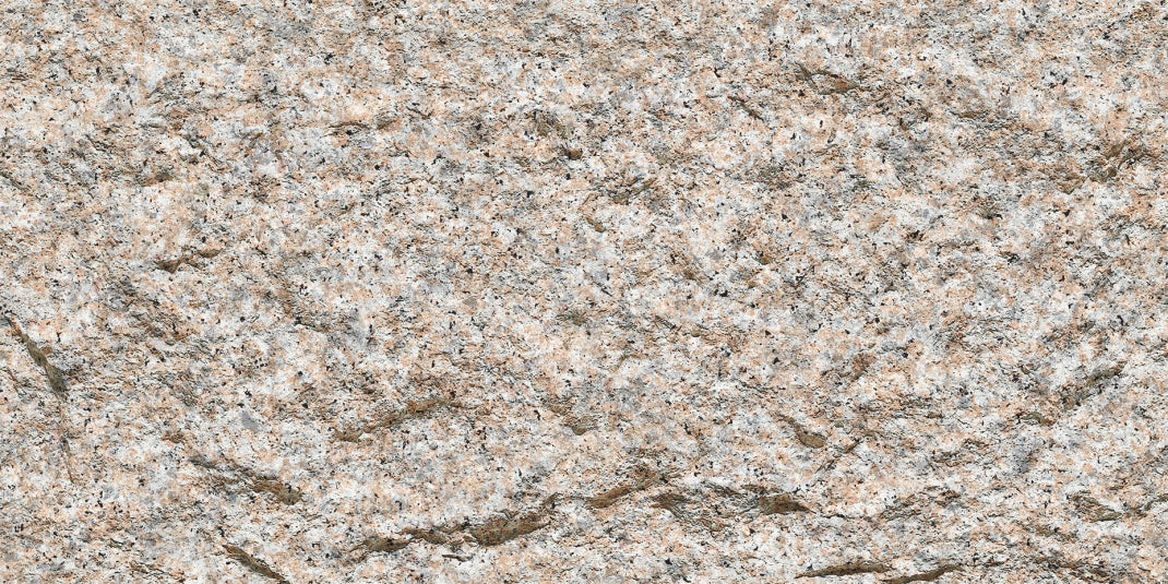 13.Devine Mushroom Stone - Gold Sesame - DM-GS-2400x1200-G3