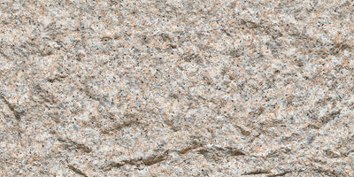 13.Devine Mushroom Stone - Gold Sesame - DM-GS-2400x1200-G3