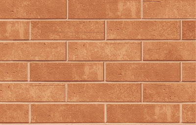 51.G Facing Brick - Idyllic Orange - GF-IO-490x115-G4