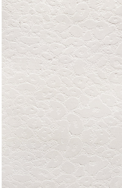 23.Butterfly Stone - Plain White - BS-PW-2600x1200-G3