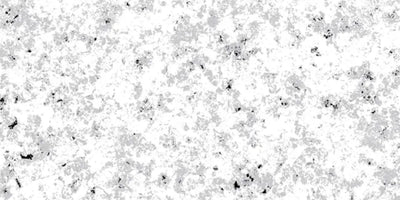 6.Polished Stone - Ash Grey - PS-AG-1200x600-G3