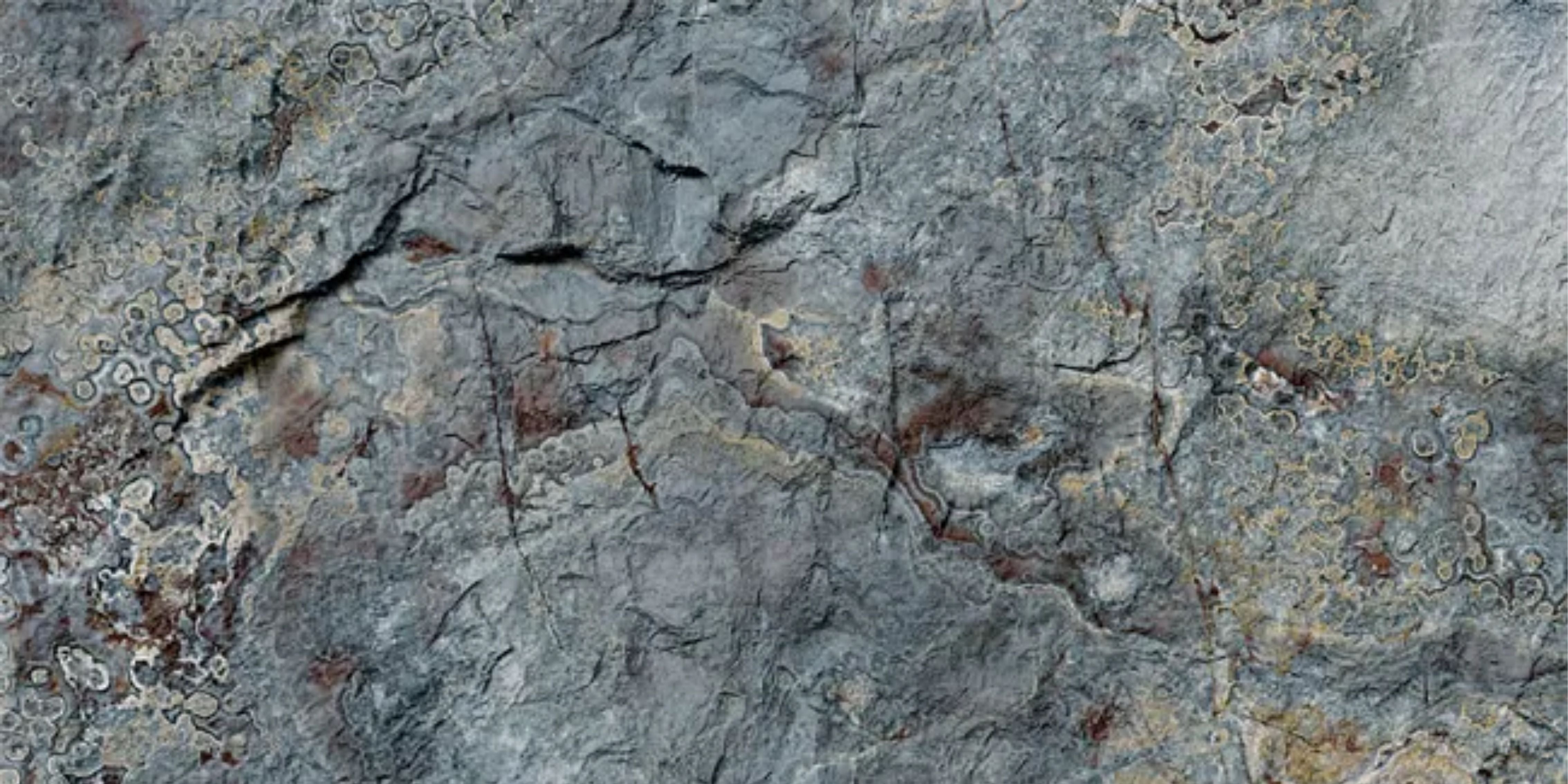 4.Stone Alpes - Roman Grey - SA-RG-2400x1200-G3